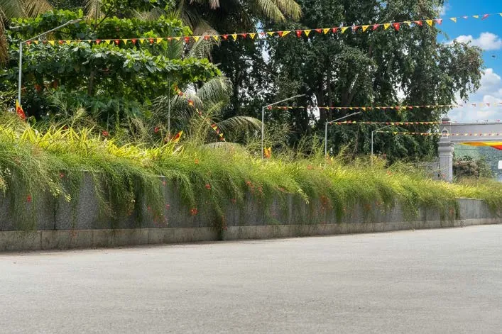 Landscaping